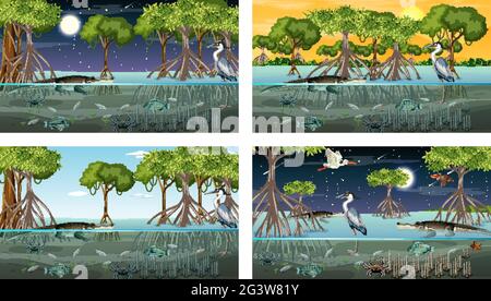Verschiedene Mangrovenwaldlandschaftsszenen mit Tieren und Pflanzen Illustration Stock Vektor