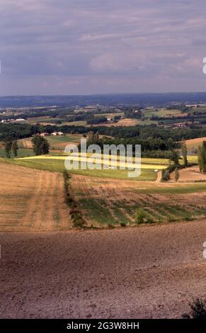 LAND IN DER NÄHE VON CAUSSADE, TARN ET GARONNE, FRANKREICH. Stockfoto