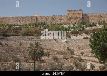Terrassen des Kidron-Tals und die Mauer der Altstadt in Jerusalem in Israel Stockfoto
