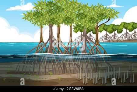 Naturszene mit Mangrovenwald in Cartoon-Stil Illustration Stock Vektor