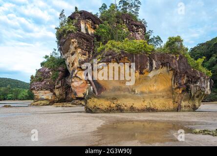 Am Strand von Teluk Assam im Bako National Park auf Borneo stapeln sich die Meere Stockfoto