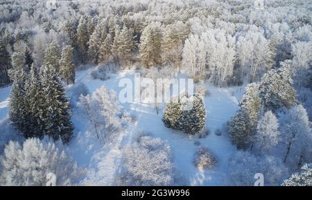 Luftaufnahme des Birkenwaldes in der Wintersaison. Drohnenaufnahme von Bäumen, die mit Reif und Schnee bedeckt sind. Stockfoto