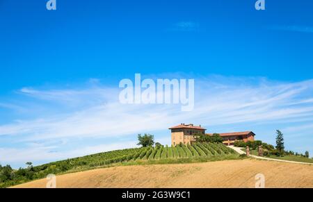 Piemont Hügel in Italien mit landschaftlich reizvoller Landschaft, Weinbergfeld und blauem Himmel Stockfoto