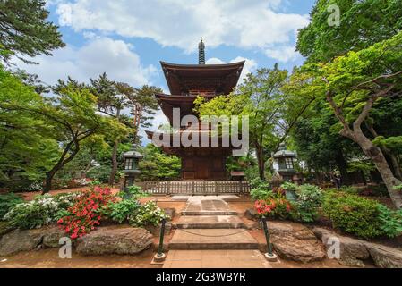 tokio, japan - 5 2021. juni: Japanische Kupferlaternen auf einem Pfad, der zu einer buddhistischen dreistöckigen Holz-Pagode im gotokuji Zen-Tempel führt, der als bir bekannt ist Stockfoto