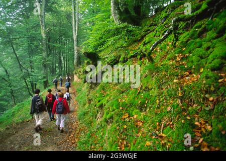 FRANKREICH. PYRENEES-ATLANTIQUES (64) BASKISCHE SPRACHE. LA SOULE. VON DEM DORF LICQ-ATHEREY AUS SIND VIELE TRECKS IN DER WUNDERSCHÖNEN LANDSCHAFT VON UNTERWEGS Stockfoto