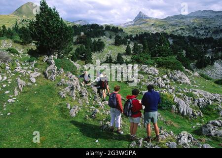 FRANKREICH. PYRENEES-ATLANTIQUES (64) BASKISCHE SPRACHE. LA SOULE. AUF SAINT ENGRACE, ETWA 2 000 M HÖHE, VERBIRGT EIN GROSSES KART-HOCHPLATEAU DAS LOCH DES PIER Stockfoto