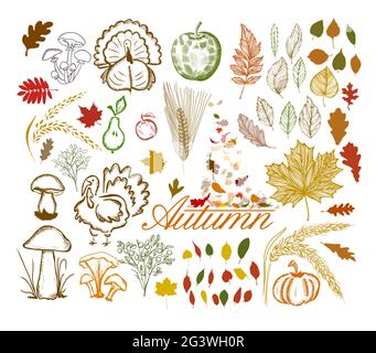 Hallo Herbst. Ein Set aus Herbstartikeln. Vektorgrafik Stock Vektor