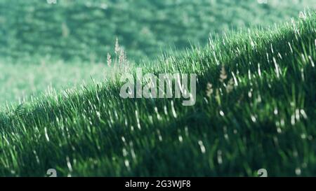 8K grünes Gras Feld auf Hügeln Hintergrund Stockfoto