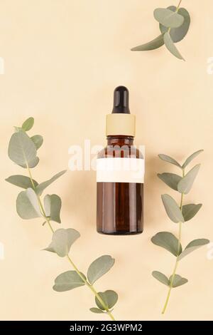 Eine Flasche Öl mit frischen Eukalyptus Blätter. Stockfoto