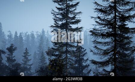 Nebliger nordischer Wald am frühen Morgen mit Nebel Stockfoto