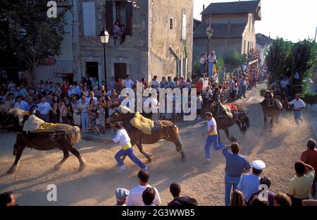 FRANKREICH. BOUCHES-DU-RHONE (13) DORF BOULBON. TRADITIONELLE ZELABRATION VON LA CARRETO RAMADO. ST-ELOI-WAGEN. WAGEN AN ZWANZIG ODER DREISSIG PFERDE ANGEPFERCHT Stockfoto