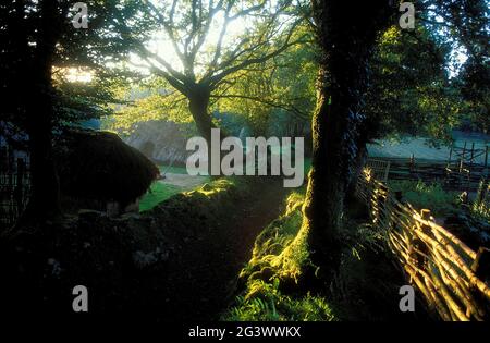 FRANKREICH. MORBIHAN (56) BRETAGNE. DAS TAL BLAVET MELRAND. ARCHÄOLOGISCHE FARM Stockfoto