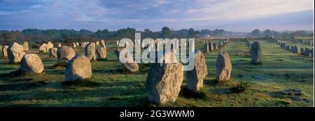 FRANKREICH. MORBIHAN (56) BRETAGNE. PRÄHISTORISCHE STÄTTE VON CARNAC. DIE AUSRICHTUNG VON MENEC Stockfoto