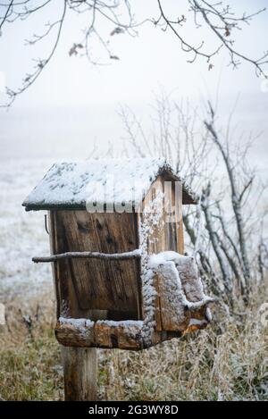 Salzleckstation für Tiere im Winter Stockfoto