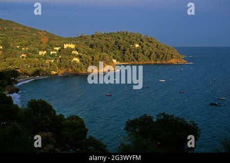 FRANKREICH. VAR (83) SÜDKÜSTE. RAYOL. DIE KÜSTE Stockfoto