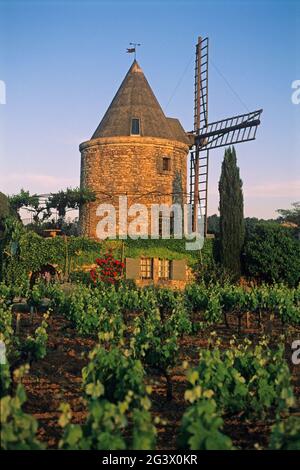 FRANKREICH VAUCLUSE (84) DER LUBERON. REGIONALER NATURPARK VON LUBERON. EINE WINDMÜHLE IN DER NÄHE DES DORFES GOULT Stockfoto