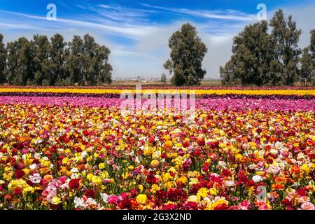 Frühlingswanderung im Süden Stockfoto