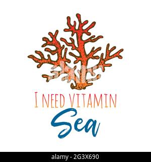Coral Sketch Vektor handgezeichnete Illustration. Sea Life Schriftzug Stock Vektor