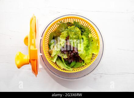 Draufsicht auf die Schüssel mit dem Salatspinner und Blattgemüse im Inneren. Bequeme Art, Salatblätter zu waschen und zu trocknen. Stockfoto