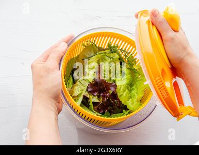 Draufsicht auf Frauenhände, die Salat in einer Schüssel mit Spinner-Werkzeug halten und trocknen, gesundes Blattgemüse im Inneren. Bequeme Art, Salat zu waschen und zu trocknen. Stockfoto