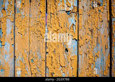 Holzstruktur mit gelber Flockfarbe. Abblätternde Farbe auf verwittertem Holz. Alte gesprungene Farbmuster auf rostigen Hintergrund. Rissige Farbe auf einem alten Holz Stockfoto