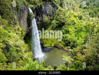 Die magischen Waireiga Bridal Veil Falls in der Region Raglan Waikato Stockfoto