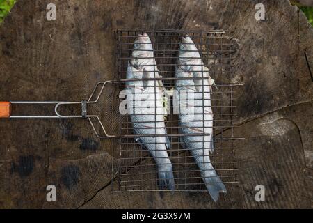 Zwei ganze Seebarsche in einem Grillnetz, mariniert für den Grill. Meeresfrüchte-Diät, Nahaufnahme. Konzept - Diät-Lebensmittel. Stockfoto