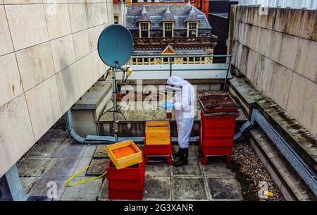 John Beavan, Master Beekeeper bei Nurture erntet Honig von den 160,000 Bienen, die Liverpool ONE, einen Einkaufs-, Wohn- und Freizeitkomplex in Liverpool, zu ihrem Zuhause in einem speziellen städtischen Bienenhaus auf einem der Dächer gemacht haben. Bilddatum: Freitag, 18. Juni 2021. Stockfoto