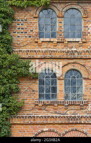 Alte Klinkerhausfassade mit Überwucherung Stockfoto