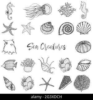 Meerestiere und Meerestiere Handgezeichnete Skizzen Set. Korallen, Seepferd, Muscheln, Seesterne, Oktopus, Fische umreißen Vektorzeichnung. Stock Vektor