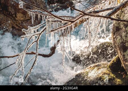 Eiszapfen auf den nassen Ästen des Flusses im Spätherbst in den Bergen. Am frühen Morgen im Spätherbst in den Bergen. Mo. pur Stockfoto