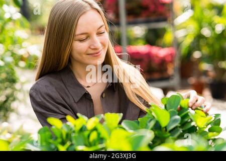 Portrait einer hübschen Frau Floristin, die sich um Pflanzenblätter kümmert Stockfoto
