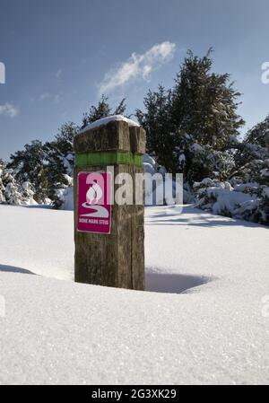 Naturschutzgebiet Westruper Heide im Winter, Haltern am See, Ruhrgebiet, Nordrhein-Westfalen, Deutschland Stockfoto