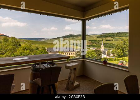 Das moderne Weingut von Jeff Konsbrück in Ahn, Luxemburg Stockfoto