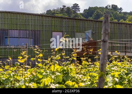 Das moderne Weingut von Jeff Konsbrück in Ahn, Luxemburg Stockfoto