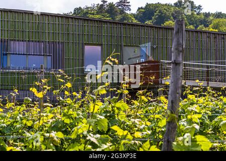 Das moderne Weingut von Jeff Konsbrück in Ahn, Luxemburg Stockfoto