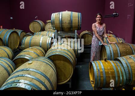 Fasslager im modernen Weingut von Jeff Konsbrück in Ahn, Luxemburg Stockfoto