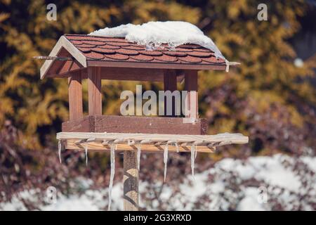 Vogelhaus im Wintergarten Stockfoto