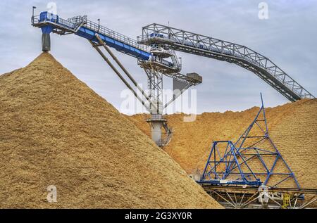 Haufen Holzspäne für die Papierfabrik Stockfoto