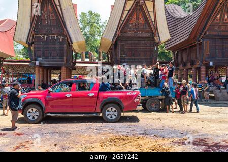 Beginn der Beerdigung nach den Feierlichkeiten in Tana Toraja auf Sulawesi Stockfoto