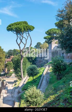 Orangengarten (Parco Savello Giardino degli Aranci) auf dem Aventine Hill in Rom Stockfoto