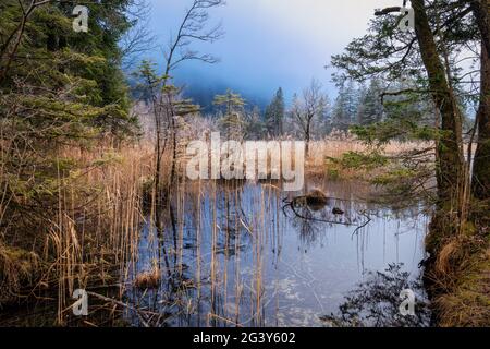 An den sieben Quellen bei Eschenlohe, Kreis Garmisch-Partenkirchen, Oberbayern, Bayern, Deutschland, Europa Stockfoto