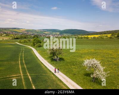 Luftaufnahme von zwei Frauen, die auf unbefestigten Straßen durch üppige Frühlingslandschaft wandern, Eschau, Räuberland, Spessart-Festland, Franken, Bayern, Deutschland, Eu Stockfoto