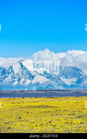 Blick auf die Hörner der Paine Bergkette, Torres del Paine Nationalpark, Chile, Südamerika Stockfoto