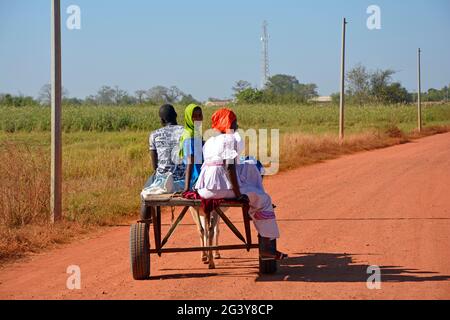 Gambia; Central River Region; Kuntaur; zwei Frauen mit Kopfbedeckung und ein Mann auf einem Eselskarren; auf dem Weg nach Kuntaur Stockfoto