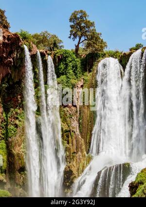 Ouzoud Falls, Wasserfall in der Nähe des Dorfes Middle Atlas von Tanaghmeilt, Provinz Azilal, Region Beni Mellal-Khenifra, Marokko Stockfoto