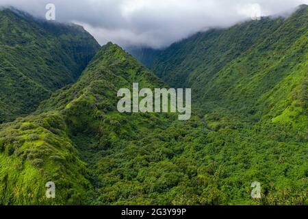 Luftaufnahme des üppigen Dschungels und der Berge an der Südwestküste von Tahiti-Iti, Maraotiria, Tahiti, Windward Islands, Französisch-Polynesien, South Pacif Stockfoto