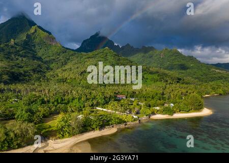 Luftaufnahme von üppiger Vegetation mit Regenbogen und Bergen in der Ferne, Teniutaoto, Moorea, Windward Islands, Französisch-Polynesien, Südpazifik Stockfoto