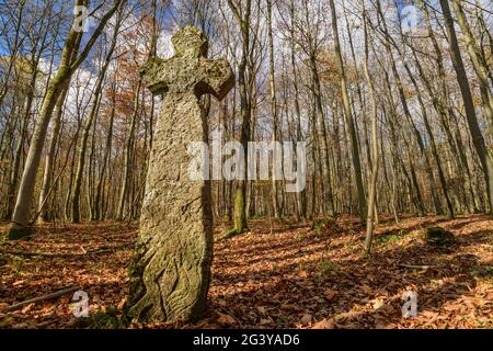 Steinernes Ihlefelder Kreuz im Wald, Nationalpark Hainich, Thüringen, Deutschland Stockfoto