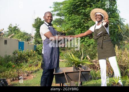 afrikanische Bauern in einer Baumschule Stockfoto